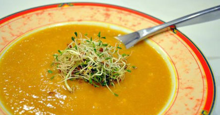 les graines germées et la santé